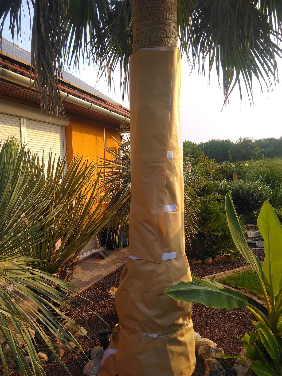 toldo_01.jpg_product